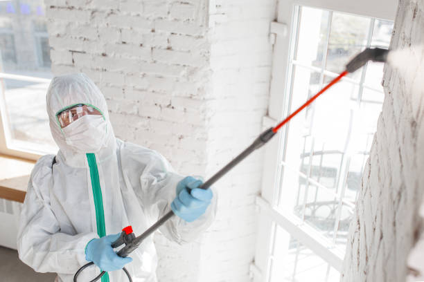 Mold Odor Removal Services in Faxon, PA