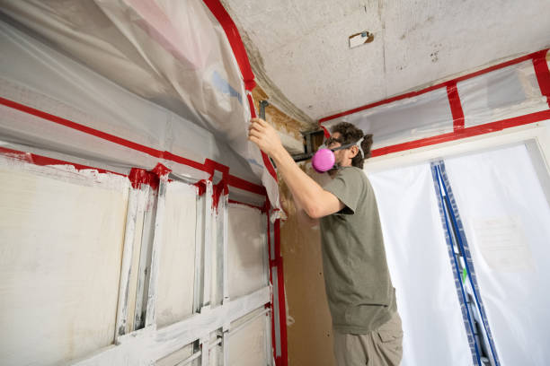 Professional Mold Removal in Faxon, PA