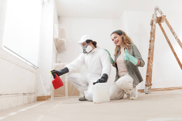 Mold Documentation for Insurance Claims in Faxon, PA